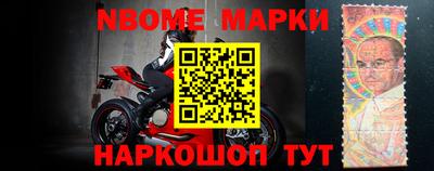 крисы Кингисепп