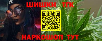 крисы Кингисепп