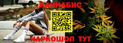 крисы Кингисепп