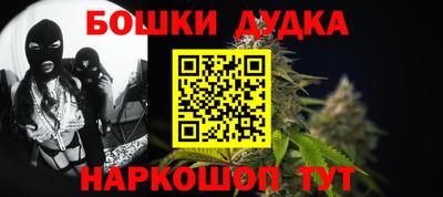 крисы Кингисепп