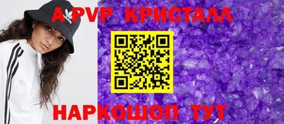 крисы Кингисепп