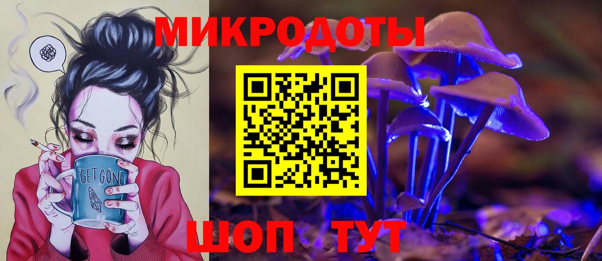 Псилоцибиновые грибы прущие грибы Кудрово