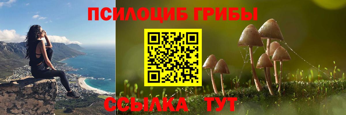 Кудрово  Псилоцибиновые грибы Magic Shrooms  Вход с VPN 